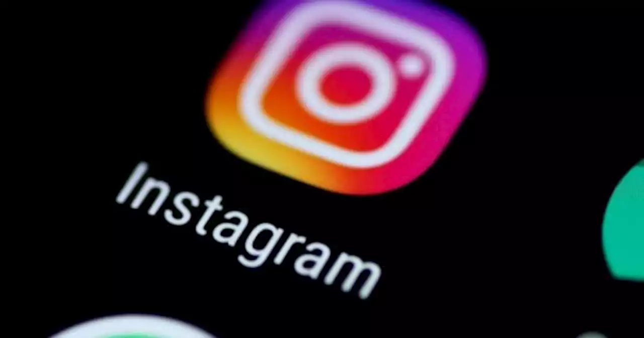 Fallas En Instagram Miles De Cuentas Pierden Seguidores Y Funcionan