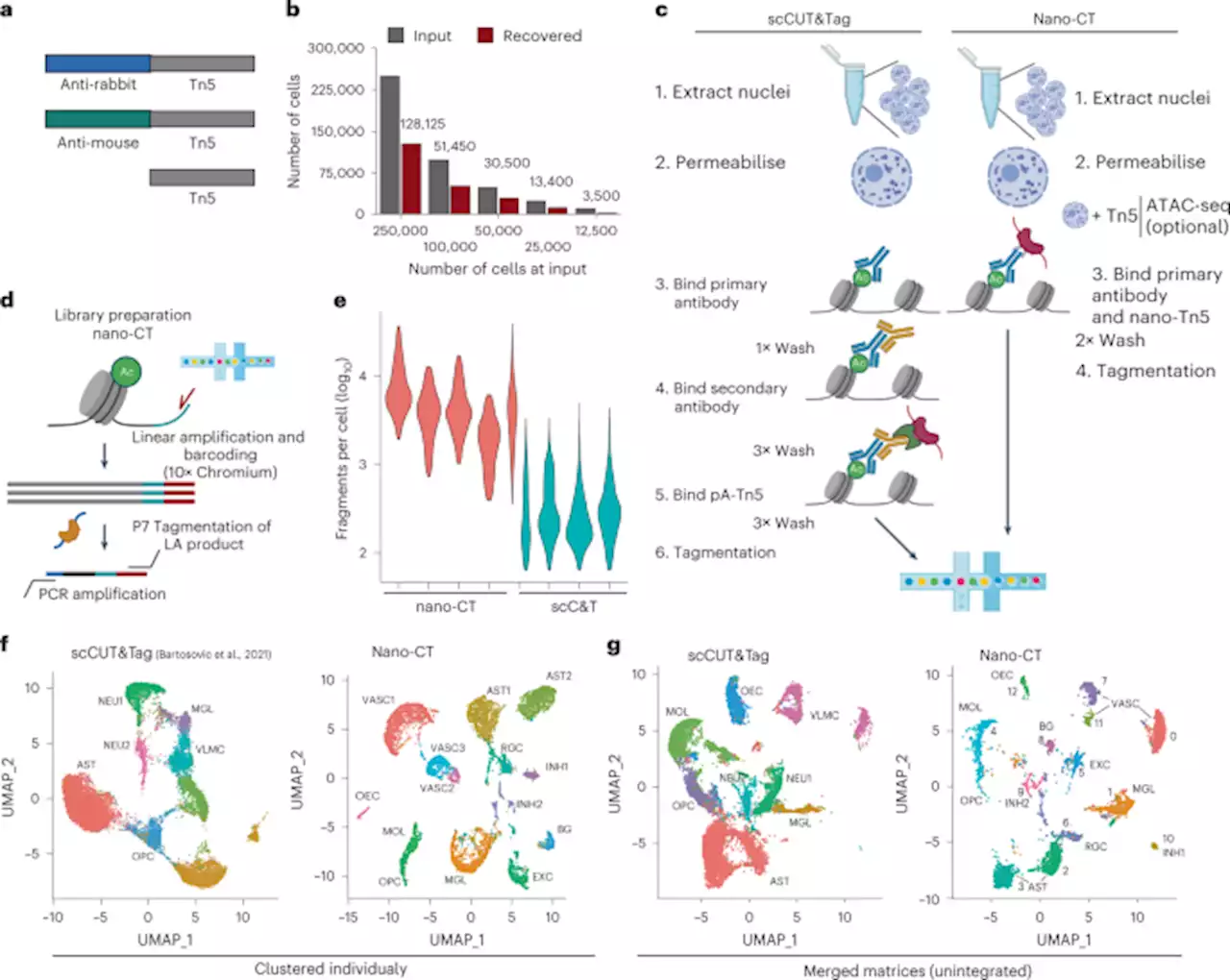 Multimodal Chromatin Profiling Using Nanobody Based Single Cell CUT Tag