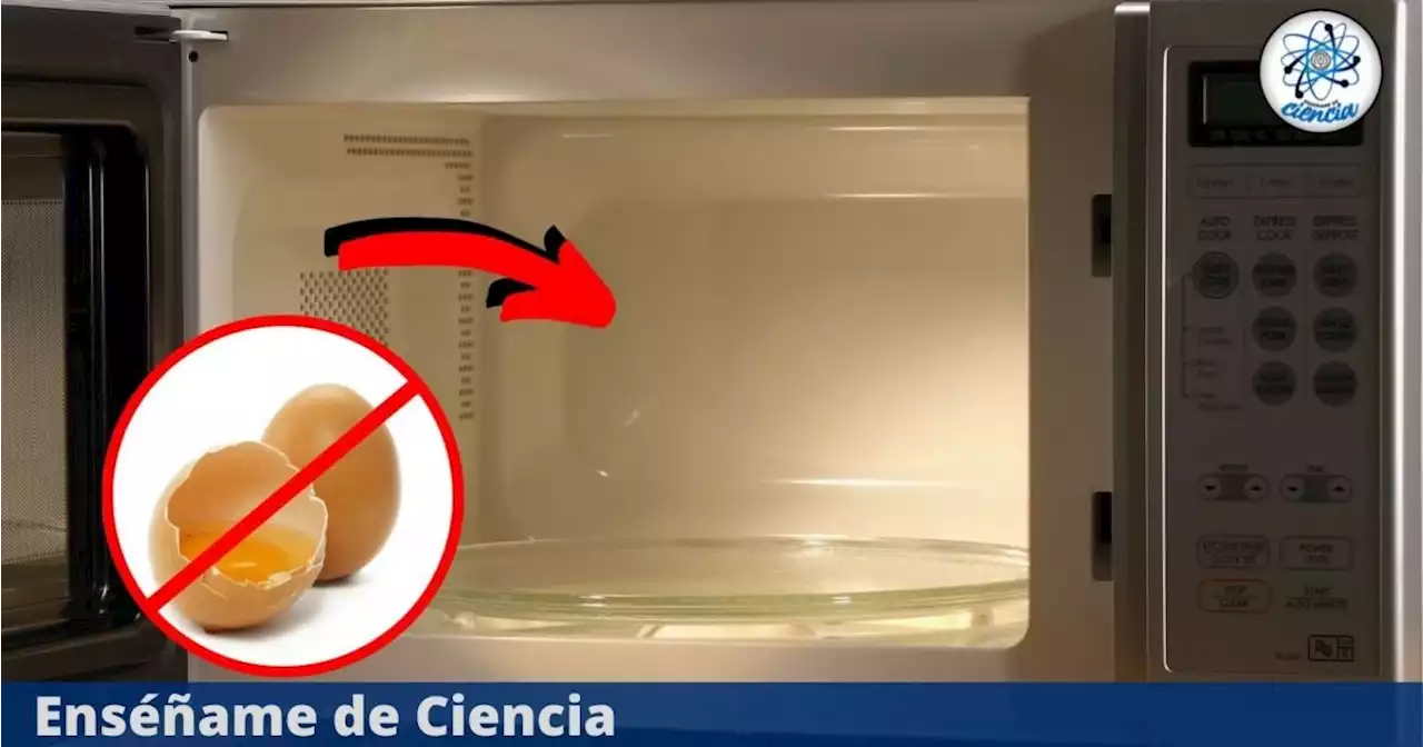 Por qué nunca debes introducir huevos en el horno de microondas Esta