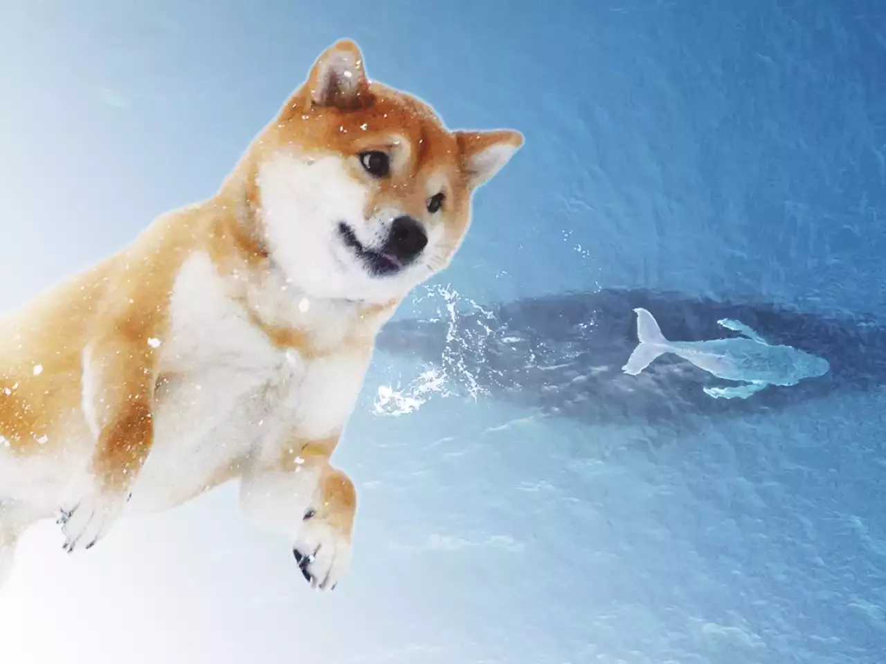 Shiba Inu Whale With Trillion Shib Increases Holdings Here S What