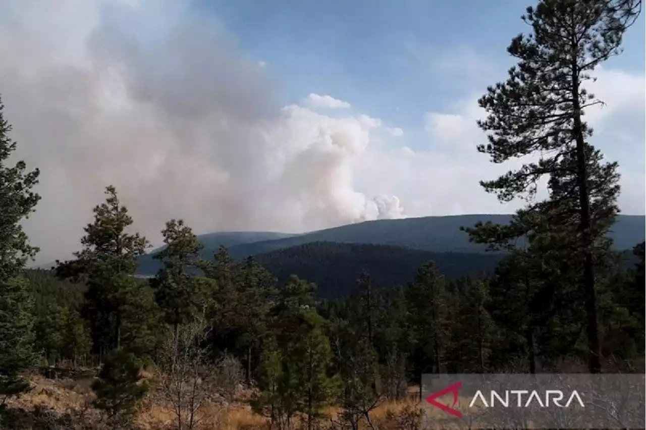 Ini Kebakaran Hutan Terbesar Di Amerika Kota Las Vegas Dalam Bahaya