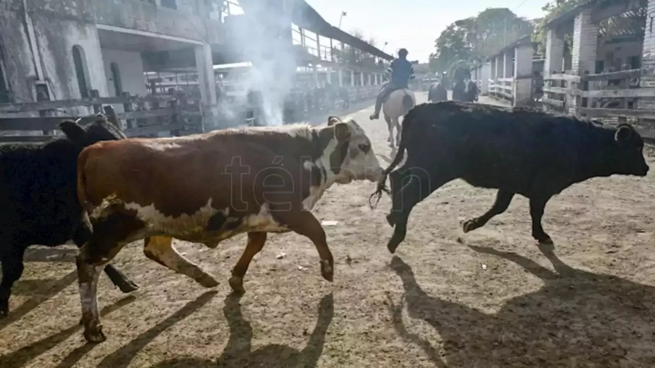 Tras A Os De Actividad Cerr Sus Puertas El Mercado De Hacienda De