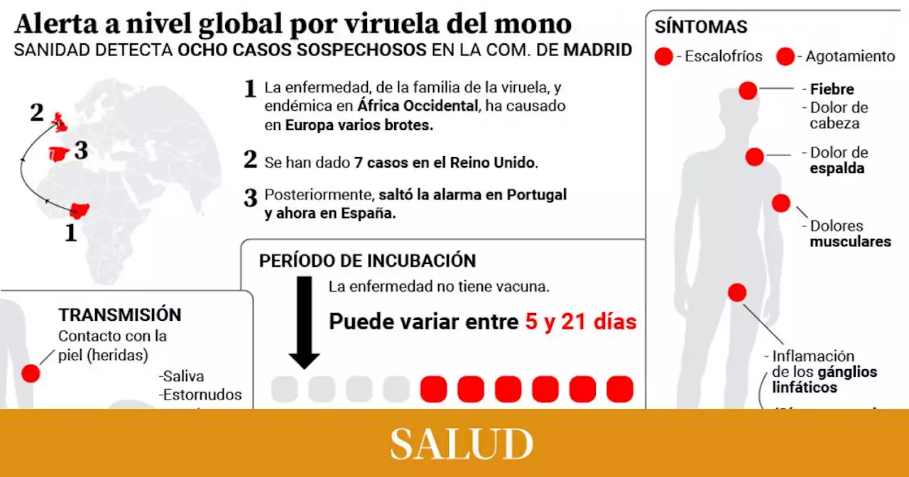 Todo sobre los brotes de viruela del mono ya detectados en España los