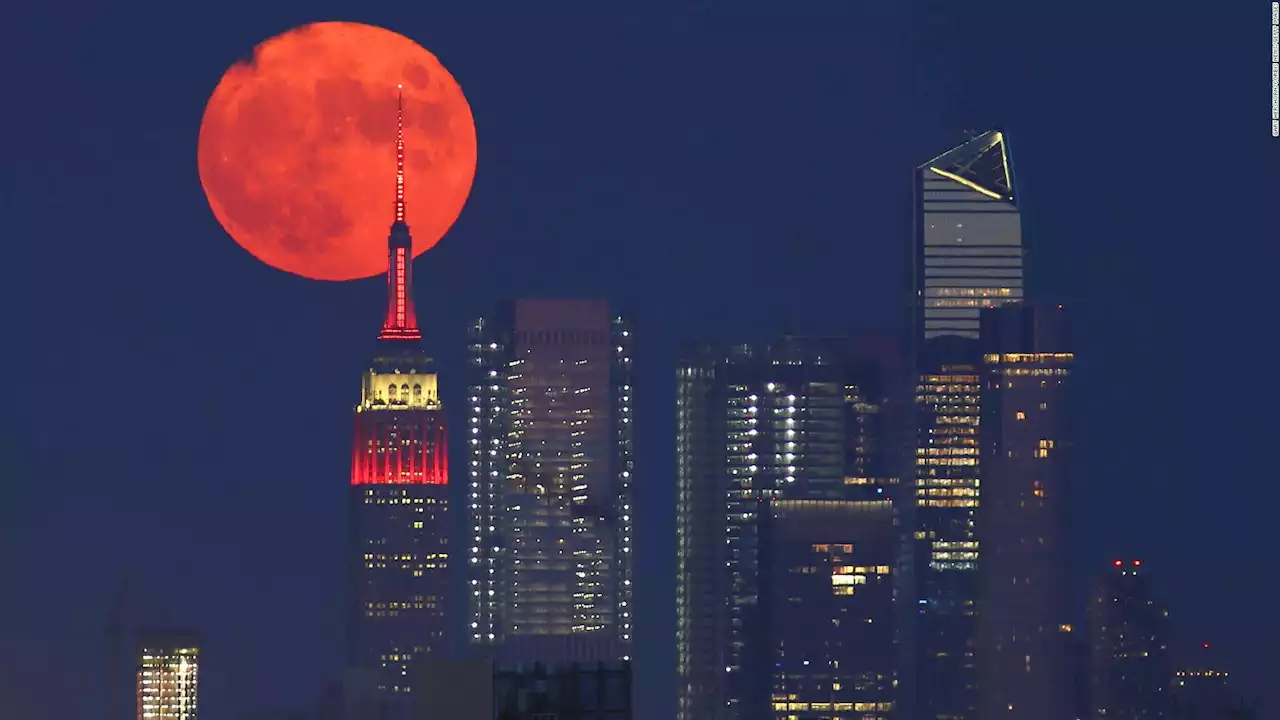 Luna Llena De Ciervo Por Qu Se Llama As Cu Ndo Es Y C Mo Verla