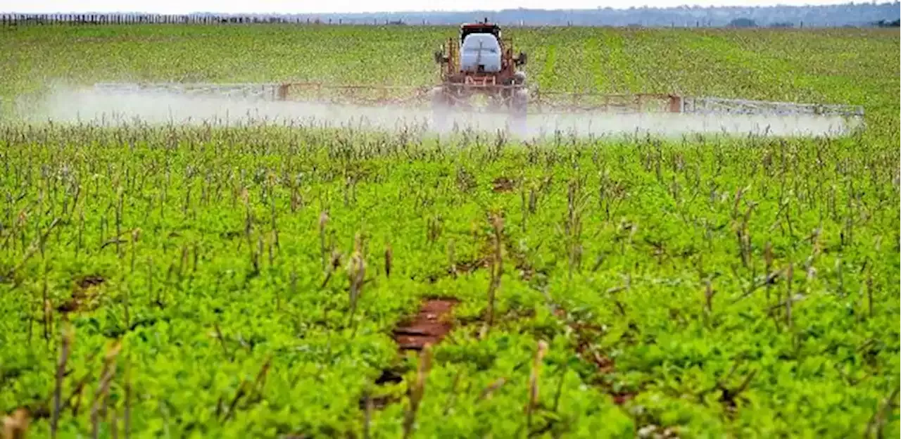 Quais Os Agrot Xicos Permitidos No Brasil E Onde S O Usados Brasil