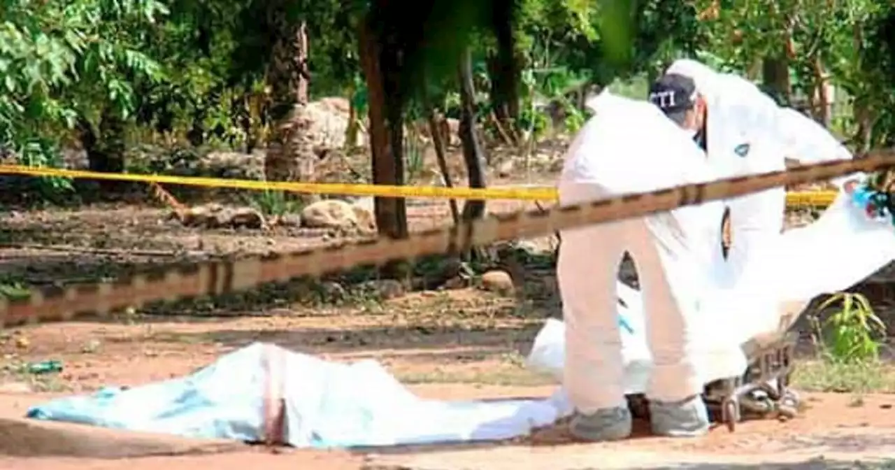 Encuentran Cuerpo Humano Desmembrado Y Envuelto En Bolsas De Basura En