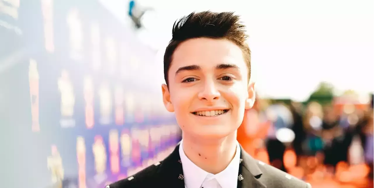 Fun Facts About Noah Schnapp That Ll Make You Love Him Even More