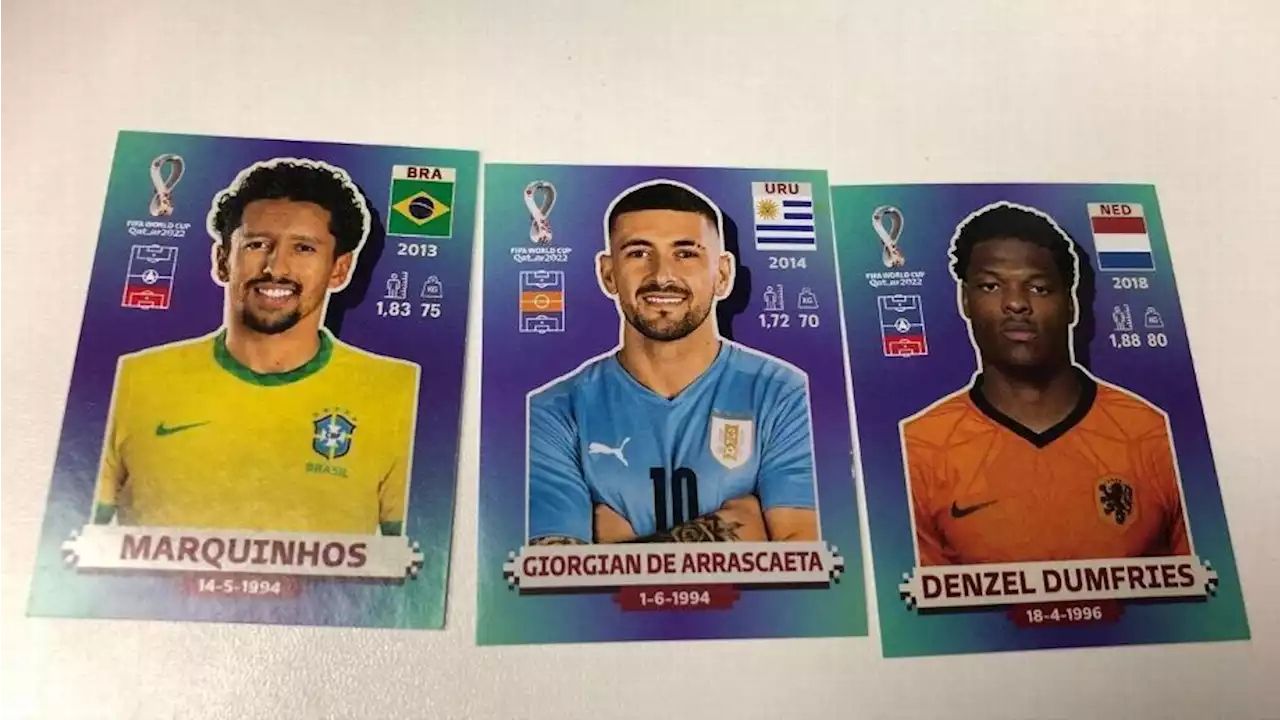 Mundial Qatar La Novedad En El Lbum Panini Que Afectar A