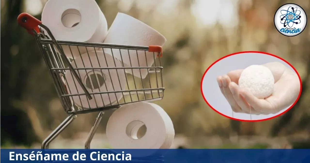 El papel higiénico tiene sus días contados Este es el sorprendente