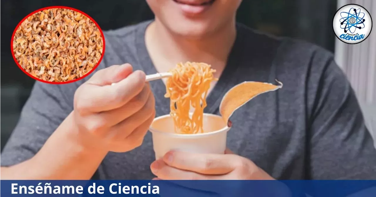 La Impactante Verdad Detr S De Los Camarones De Las Sopas Instant Neas