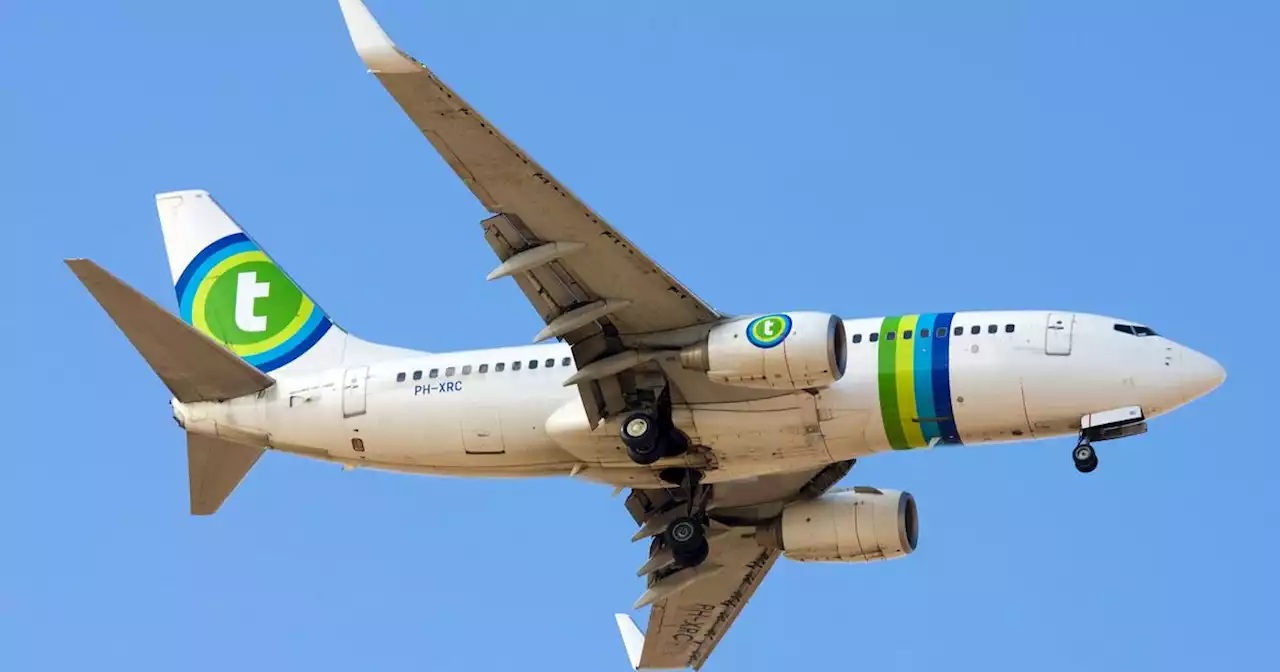 Transavia a rempli ses avions cet été mais les passagers sont