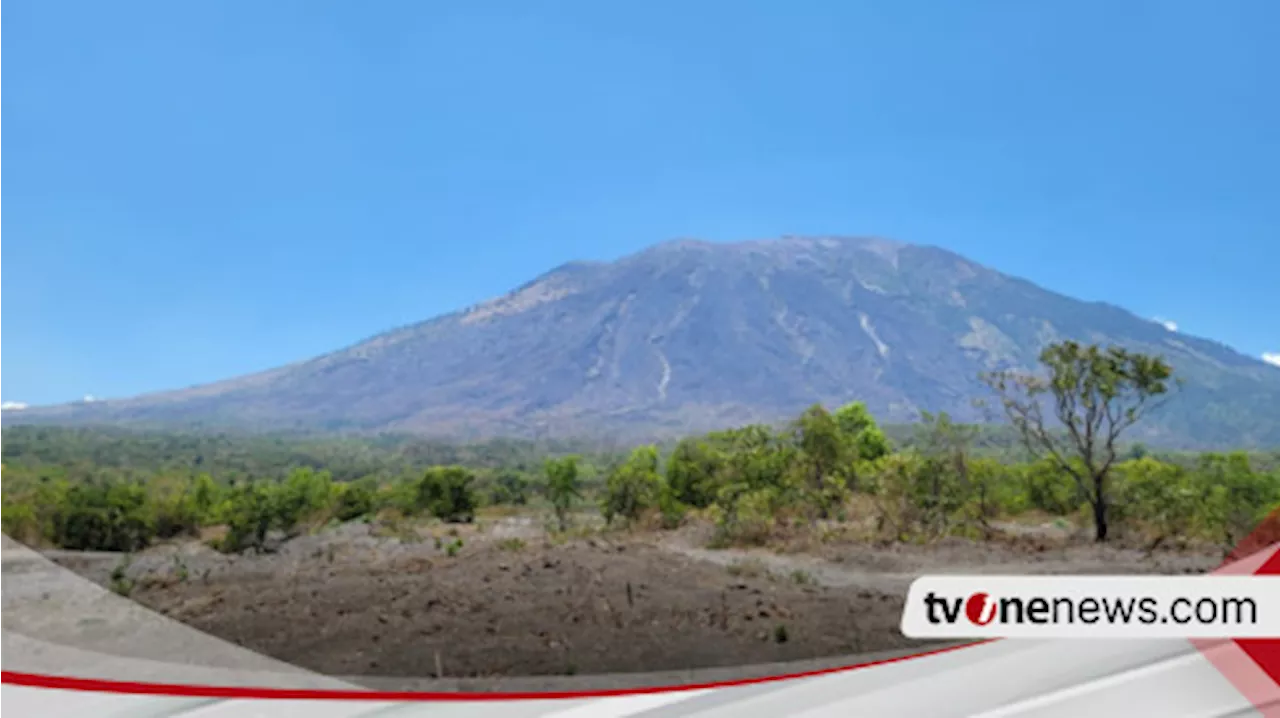 Kebakaran Hutan Lereng Gunung Agung Telah Dipadamkan Total Hutan