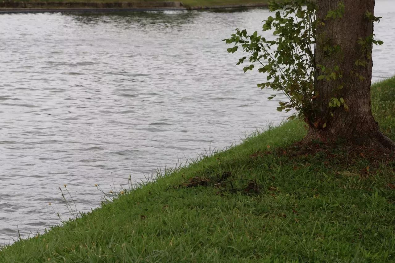 Disparition inquiétante un corps sans vie retrouvé au bord de l eau