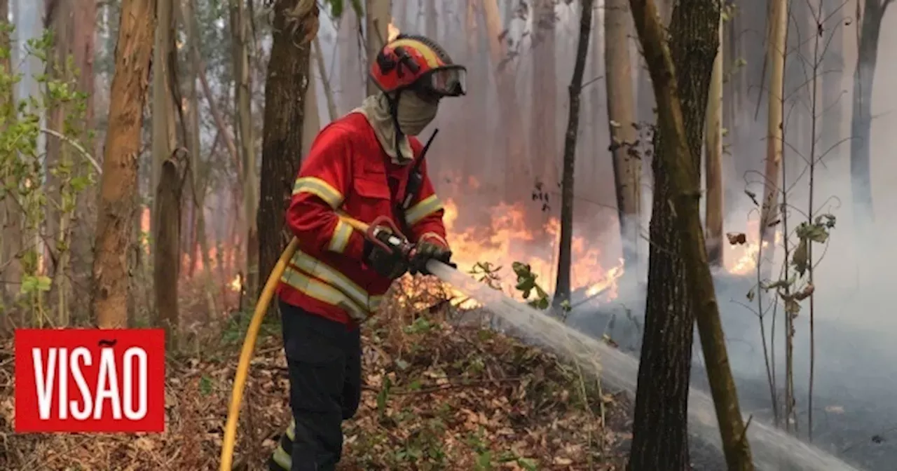 Calor Em Portugal Vinte E Cinco Concelhos De Seis Distritos Em Perigo