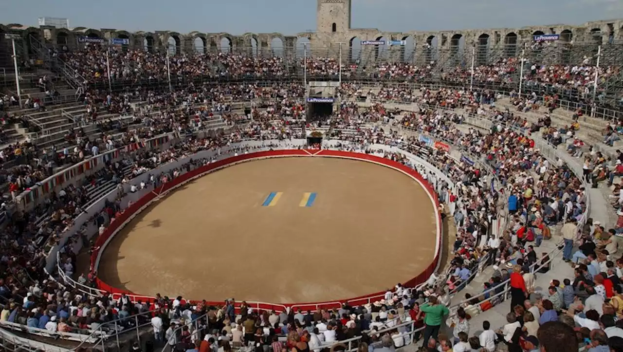 Tauromachie Des Nains En Quoi Consiste Cette Pratique Que Vient D