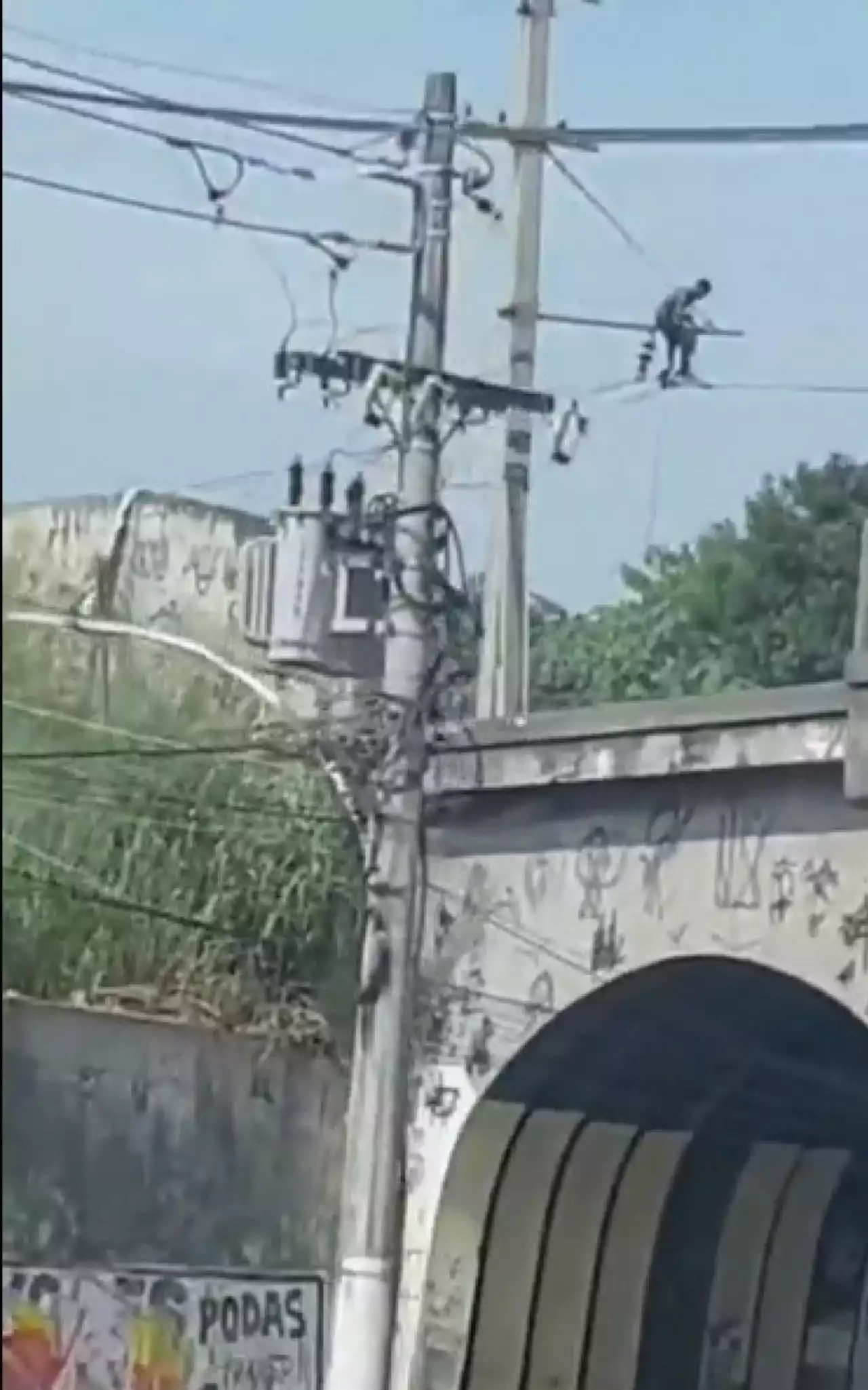 Vídeo flagra homem furtando cabos de energia à luz do dia na Zona Norte