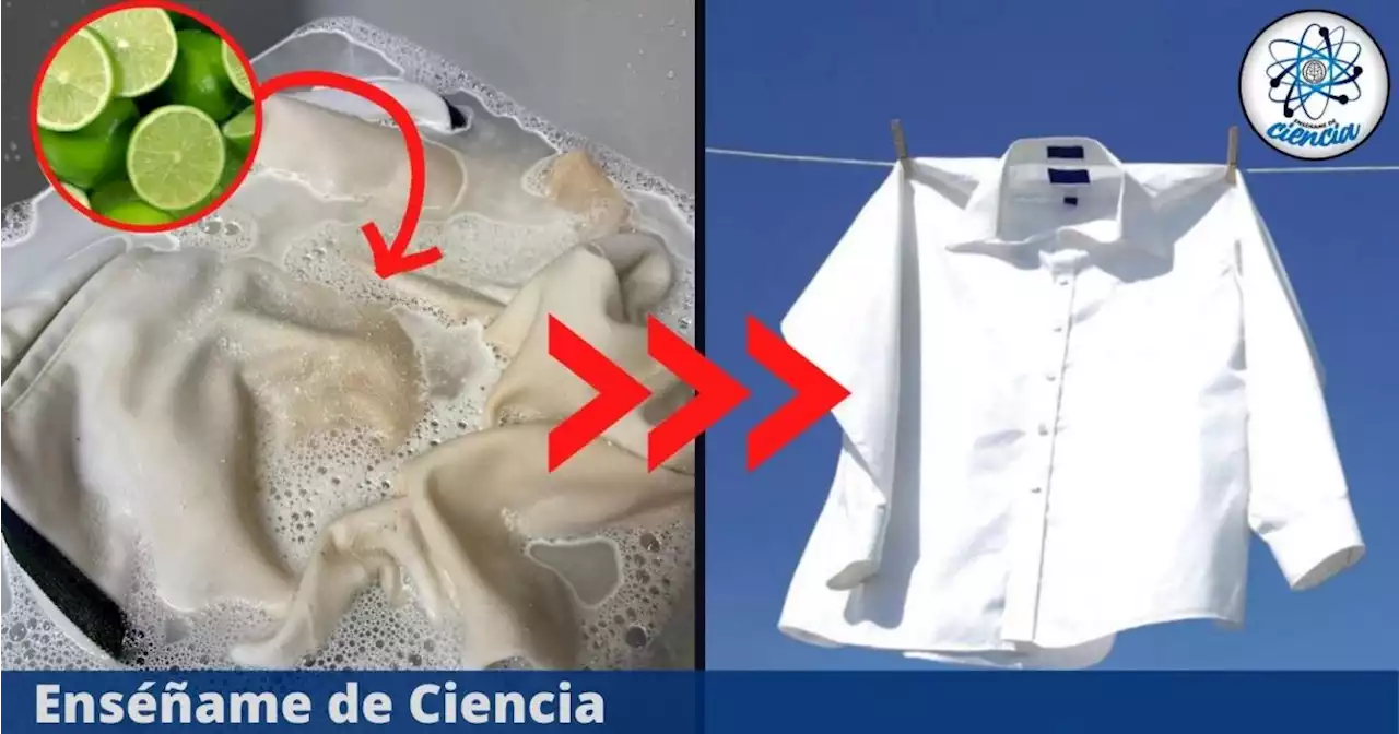 Trucos caseros para eliminar las manchas de lejía de la ropa blanca