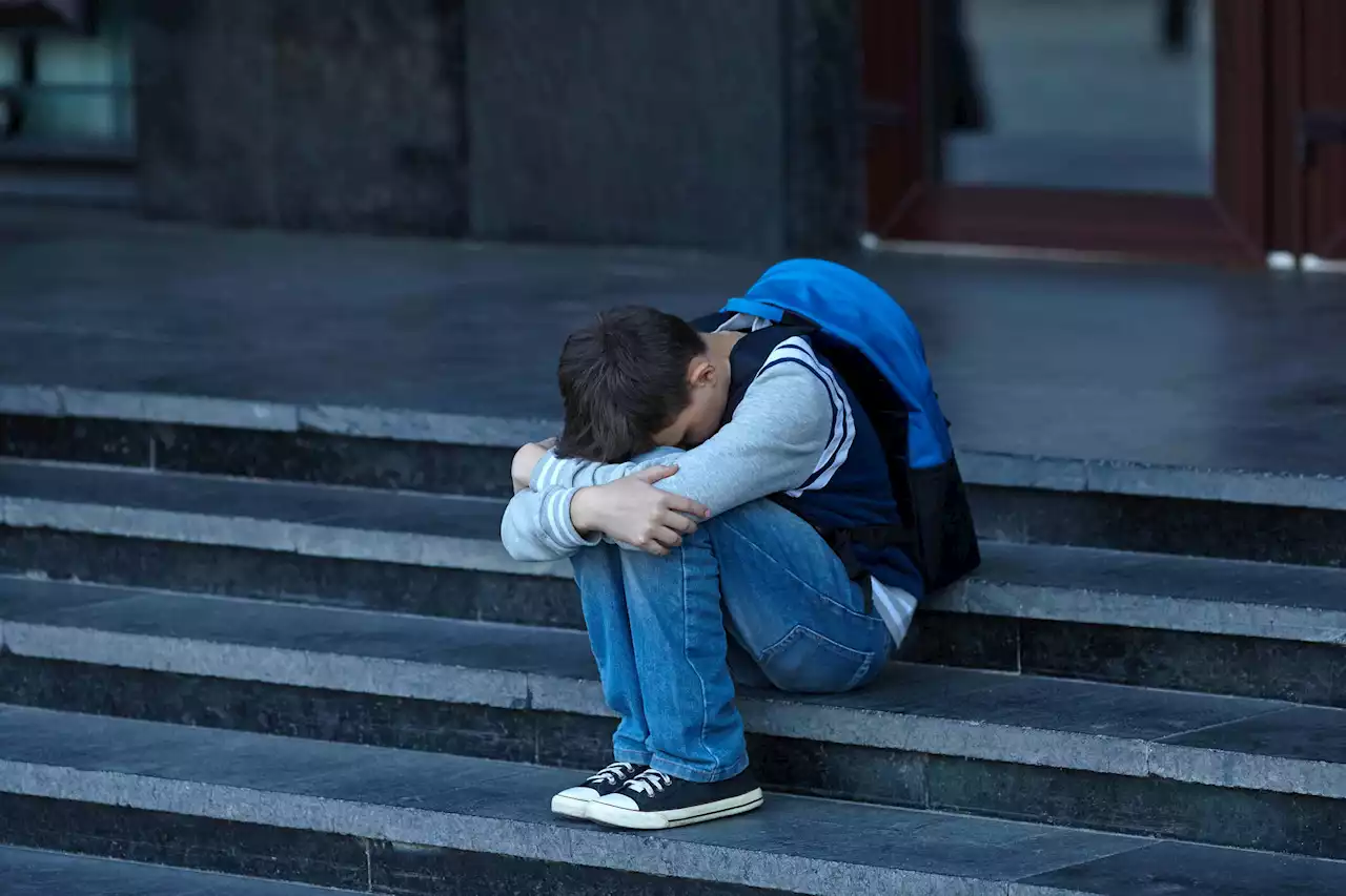 El Bullying Azota Los Colegios Preocupantes Cifras De Acoso Escolar En