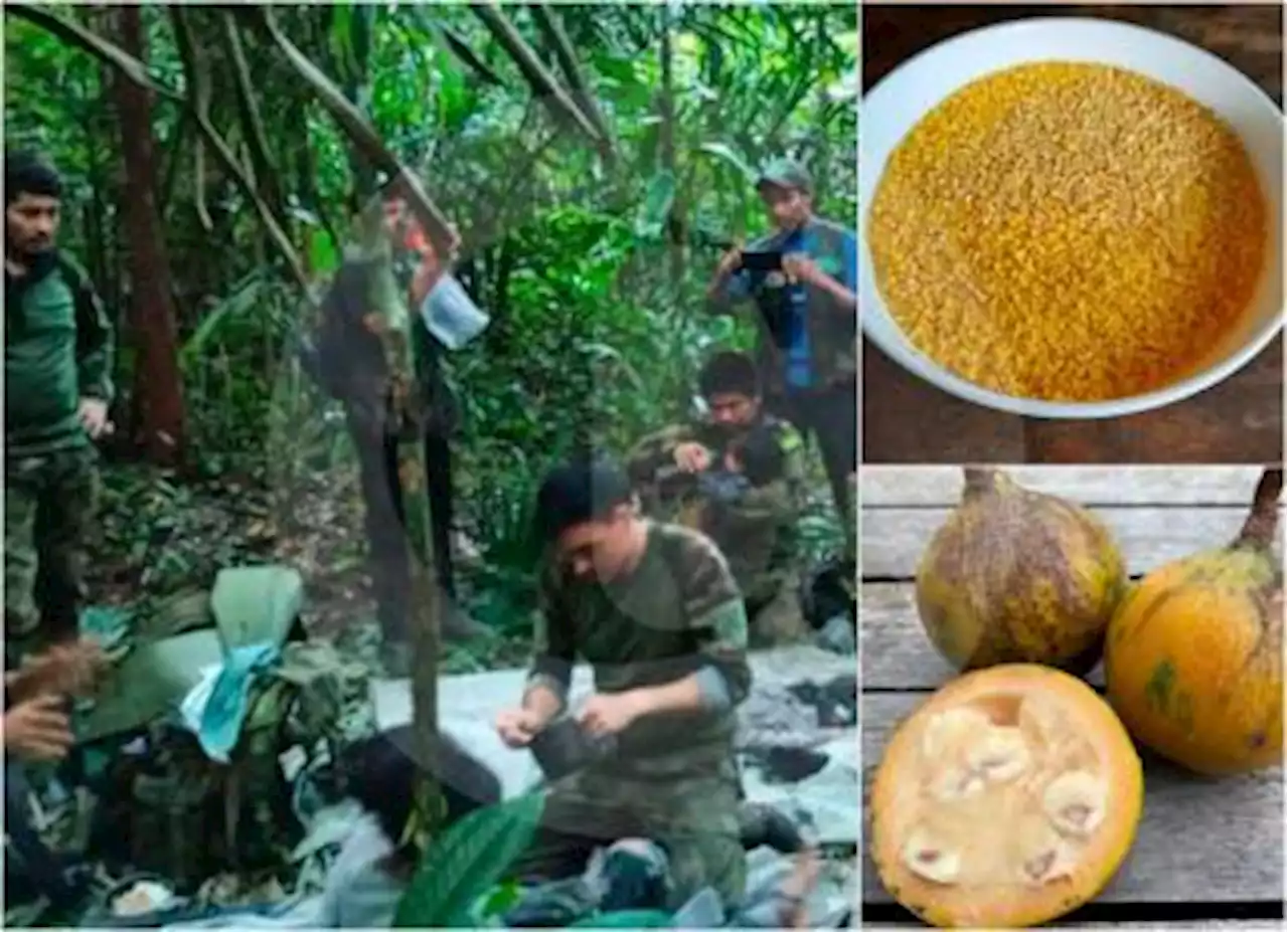 Revelaron De Qu Se Habr An Alimentado Los Ni Os Mientras Estaban