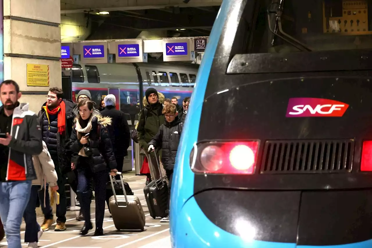 La SNCF jugée pour la mort dun chat écrasé par un TGV