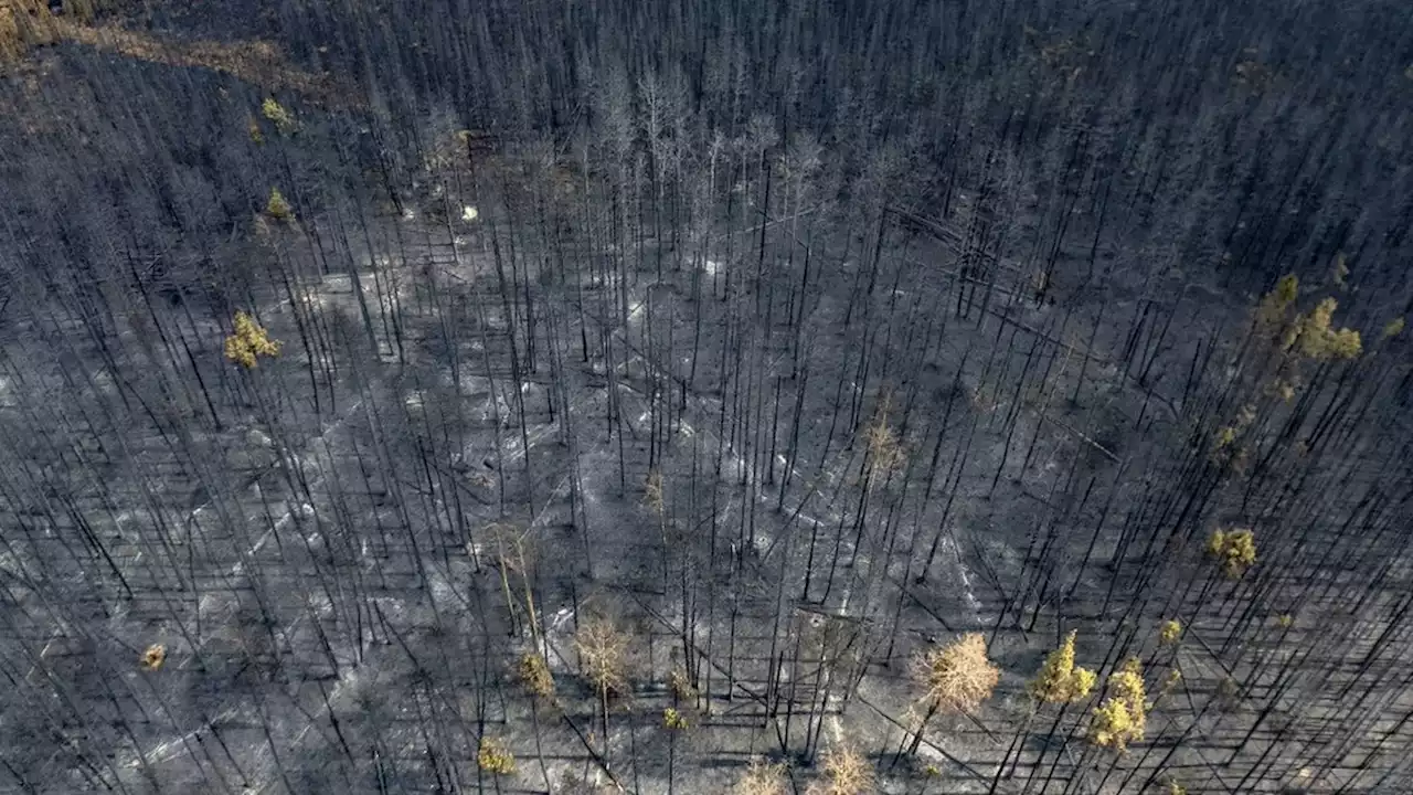 EN IMAGES Incendies au Canada de gigantesques feux de forêt