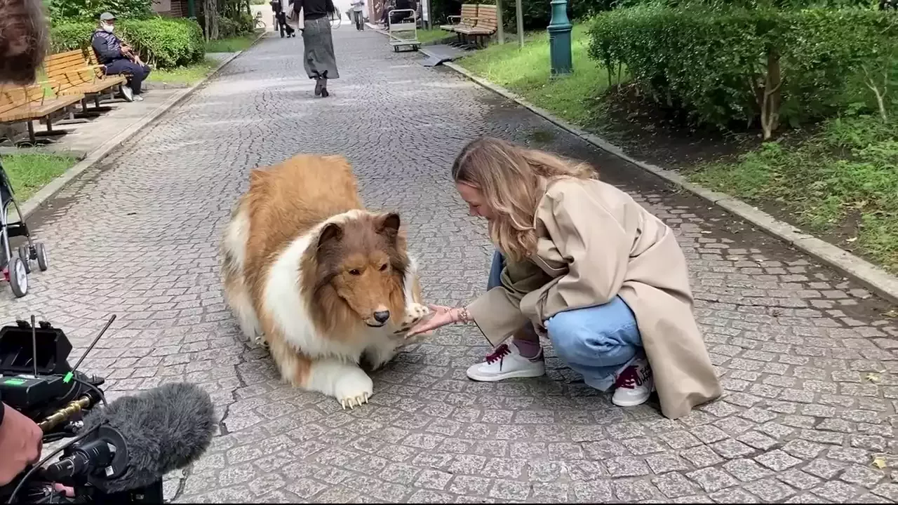 Japon S Que Gastou R Mil Para Se Transformar Em Cachorro Faz