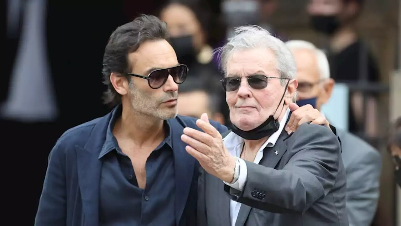 Affaire Alain Delon Hiromi Rollin Porte Plainte Contre Les Enfants De