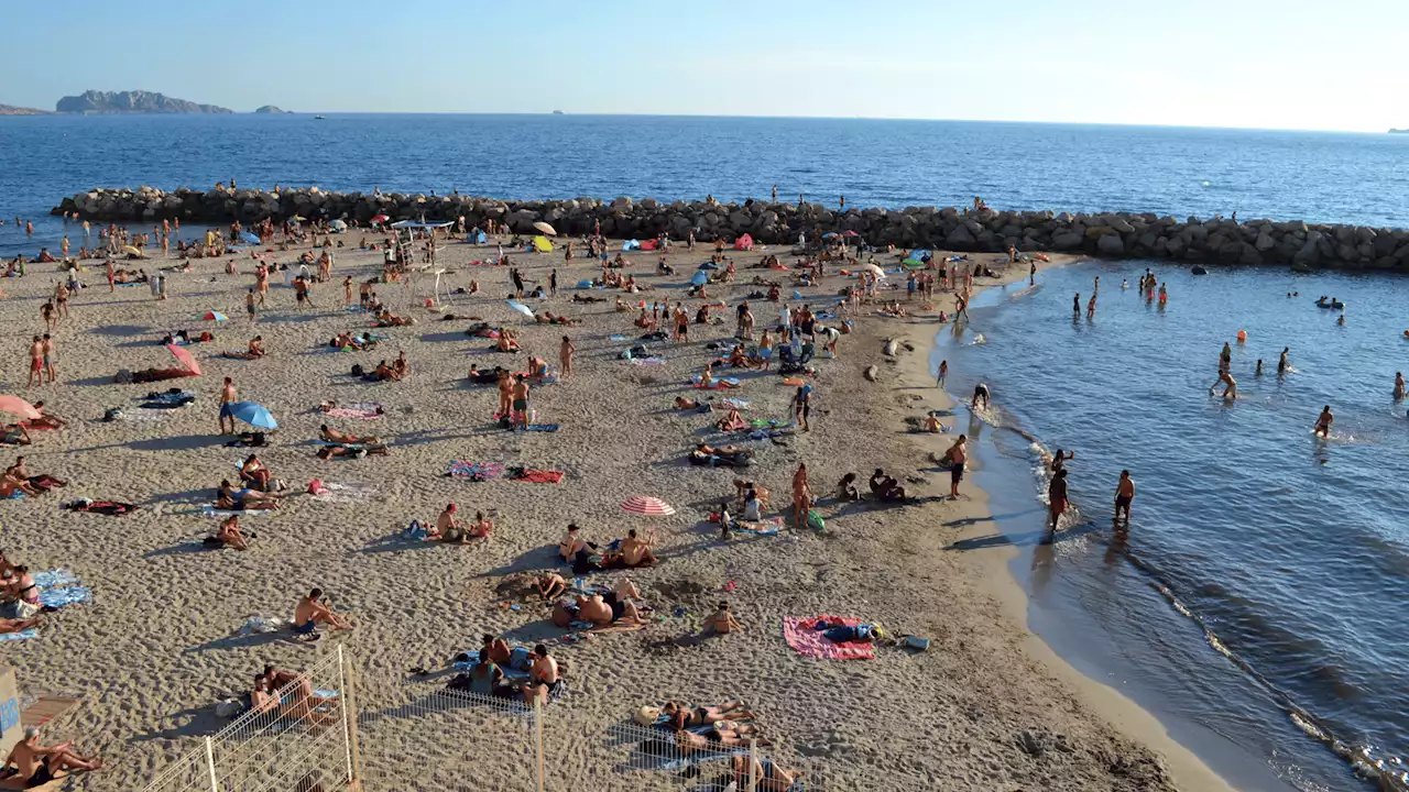 Marseille Installe Des Bassins De Nage Mobiles Pour Compenser Le Manque