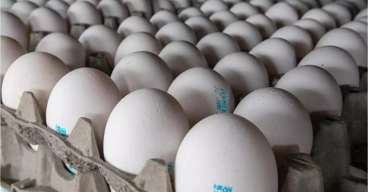 Hay Que Lavar Los Huevos Antes De Cocinarlos Estos Son Los Alimentos