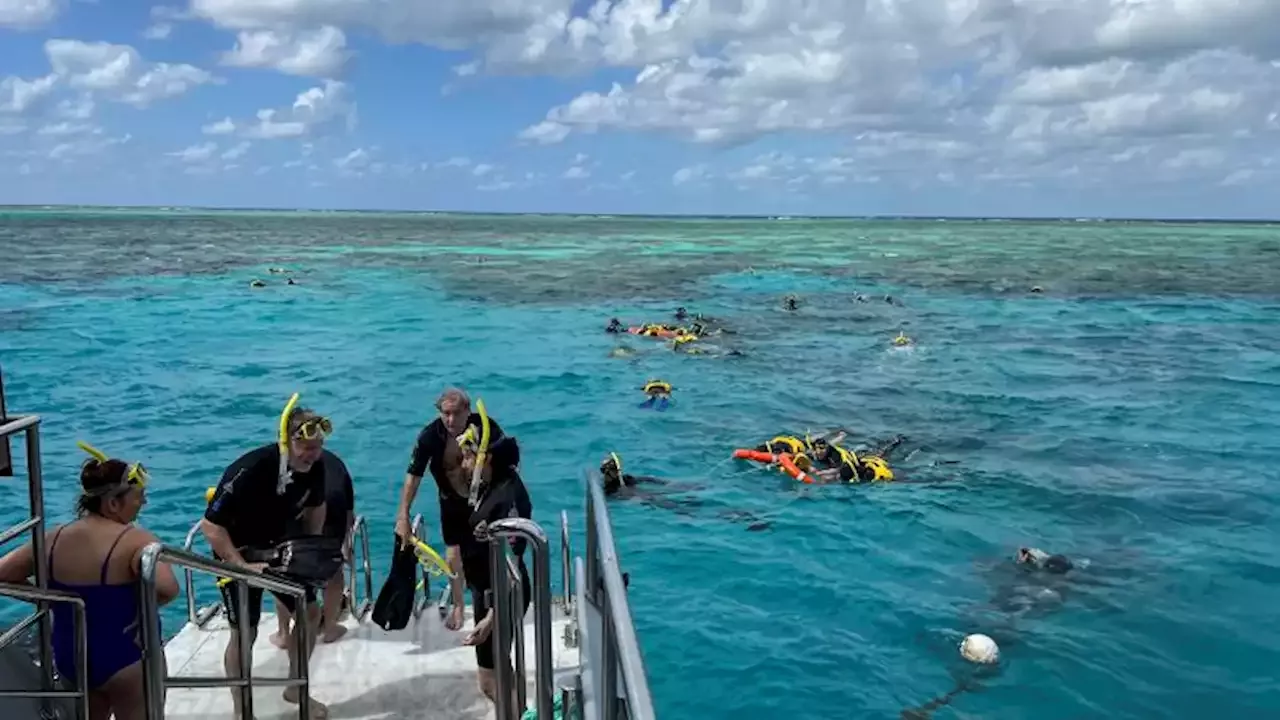 Great Barrier Reef stays off UNESCO in danger list but hot El Niño