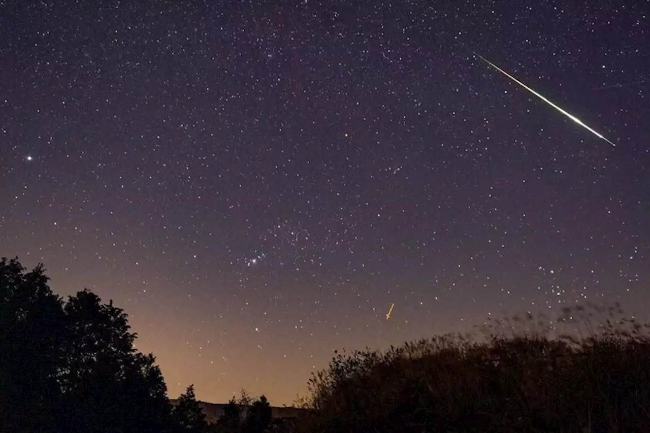 No te pierdas las Perseidas de este año estos son los mejores canales