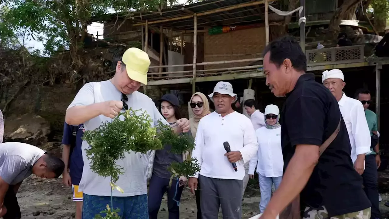 Melihat Potensi Besar Budidaya Rumput Laut Di Nusa Lembongan Bali