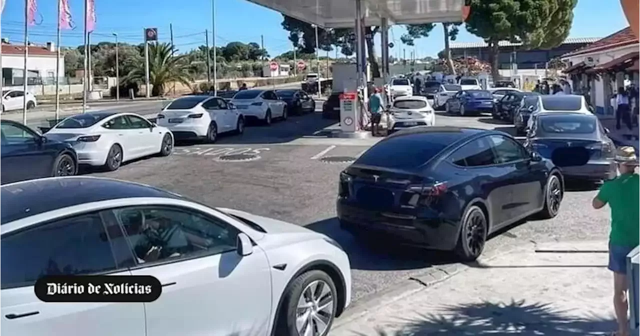 Fila V Rios Modelos Da Tesla Em Alc Cer Do Sal Torna Se Viral