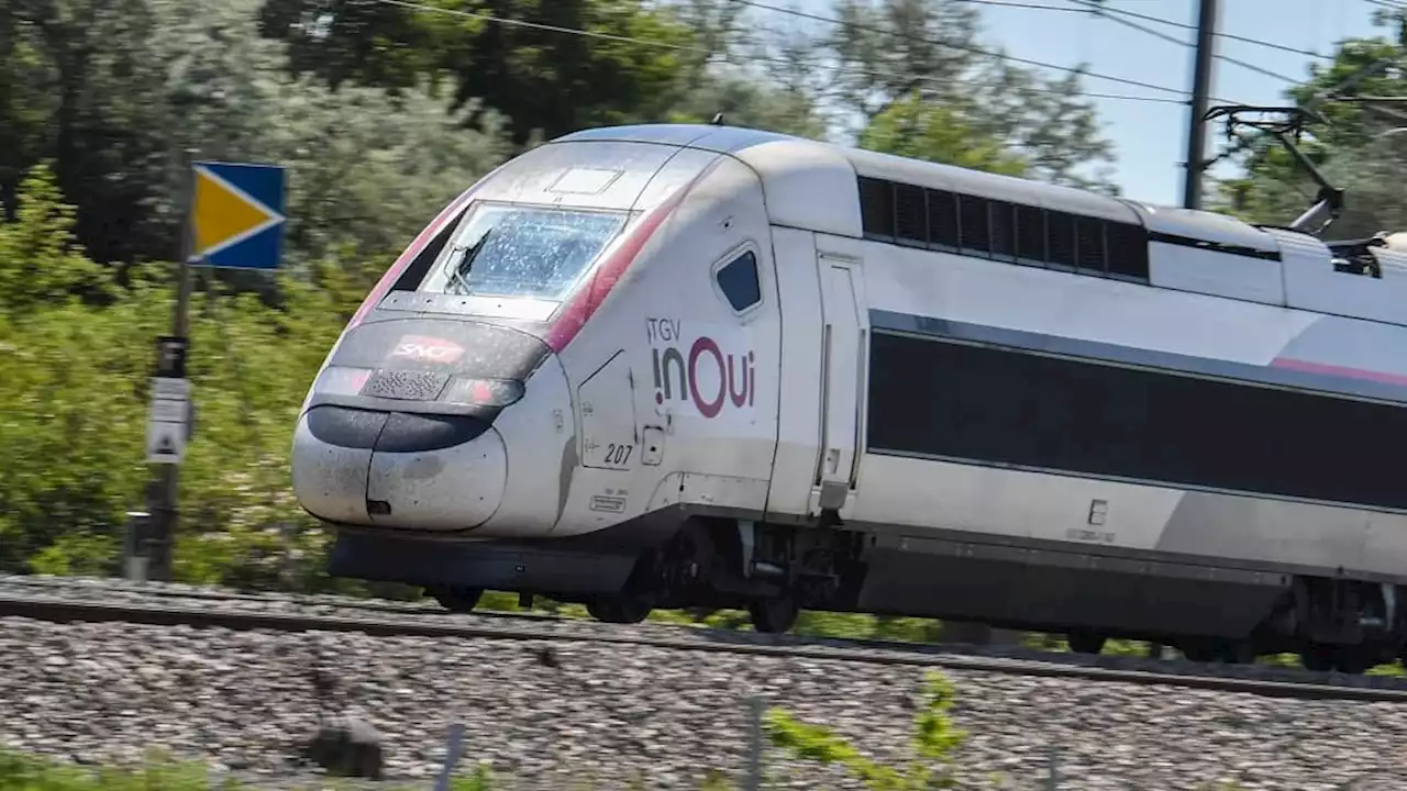 Quels Sont Les Trains Les Plus Rapides Du Monde Et Le Tgv N Est Pas