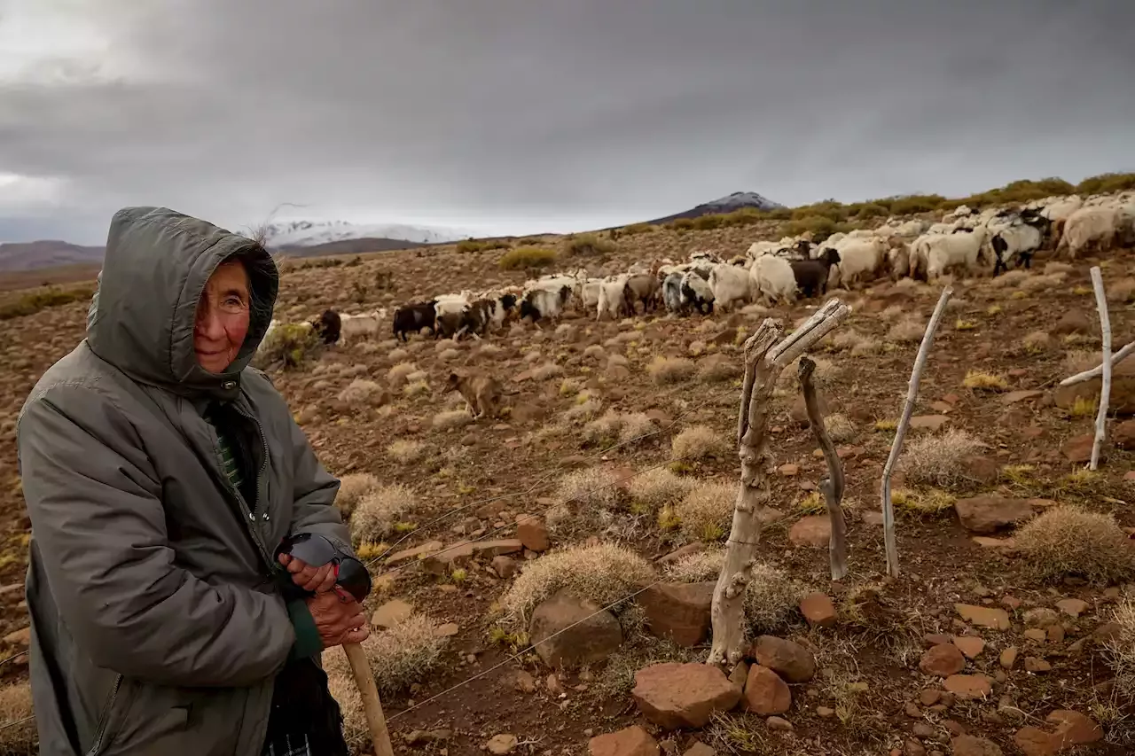 Internet Qu Es Eso La Trashumante De Un Paraje Remoto Que En Un