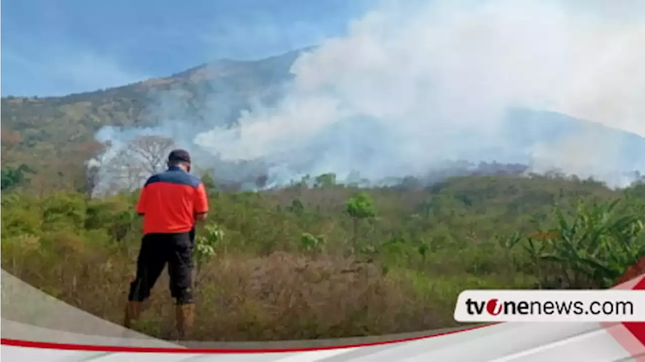 Lereng Gunung Agung Bali Kebakaran Hanguskan 8 Hektare Lahan Indonesia