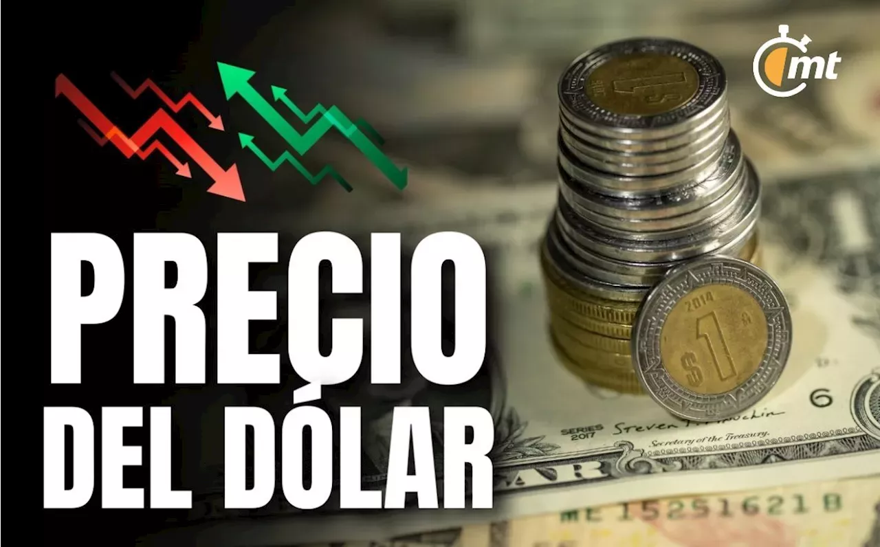 Precio del dólar hoy 20 de octubre 2024 Así va el peso en México al