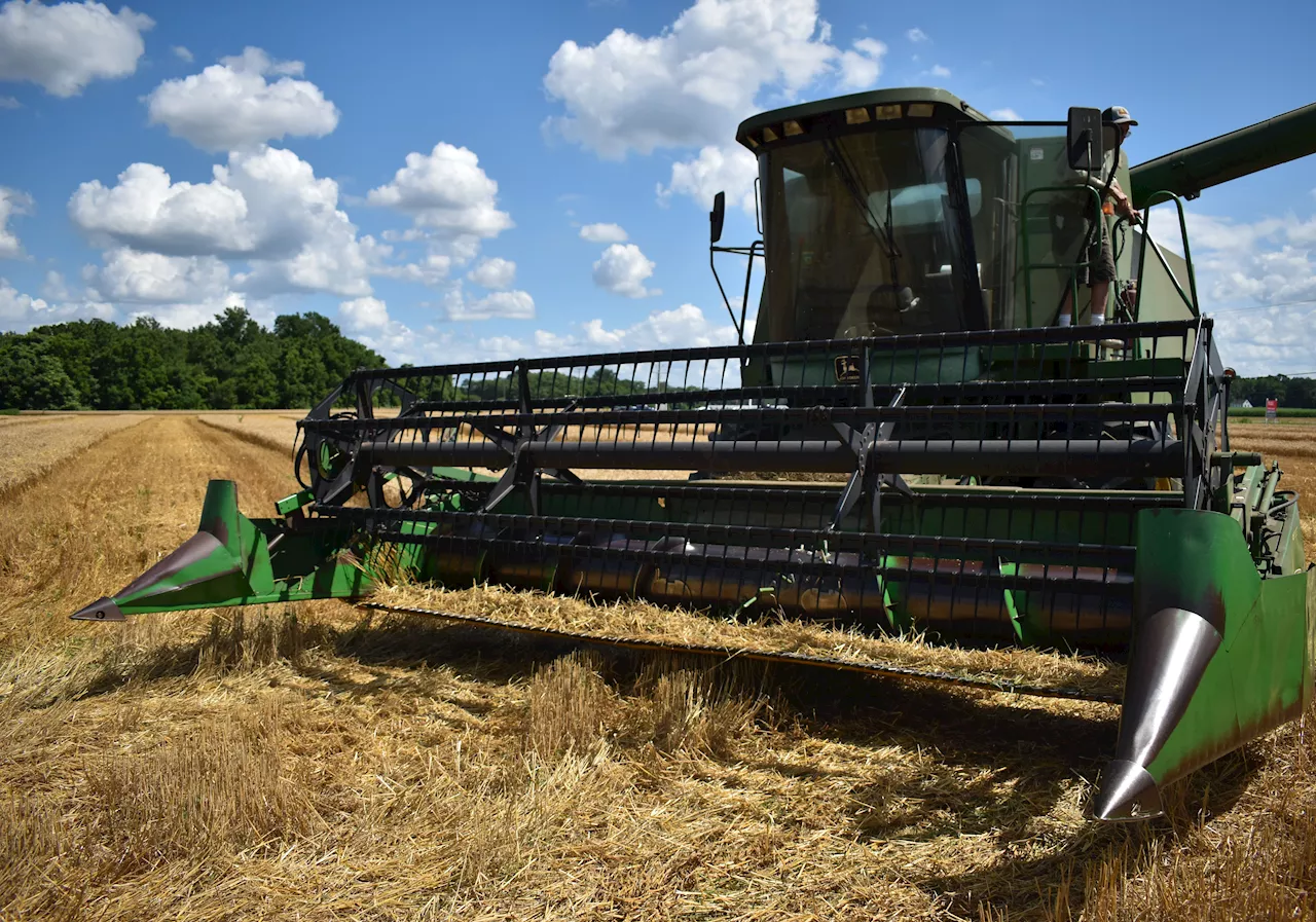 SLC Agrícola tem prejuízo de R 17 3 mi no 3º tri após lucro um ano