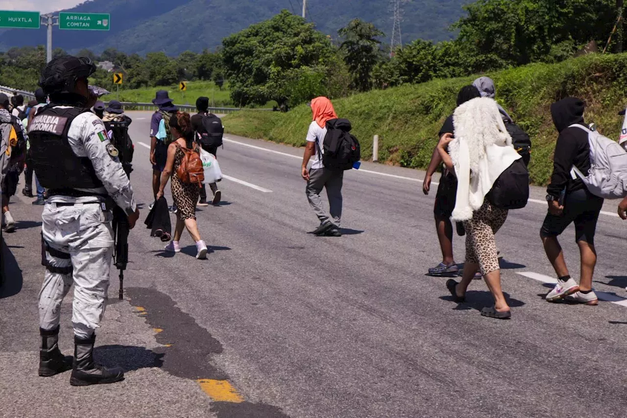 Senadores Del Pvem Impulsan Protecci N De Derechos Humanos En