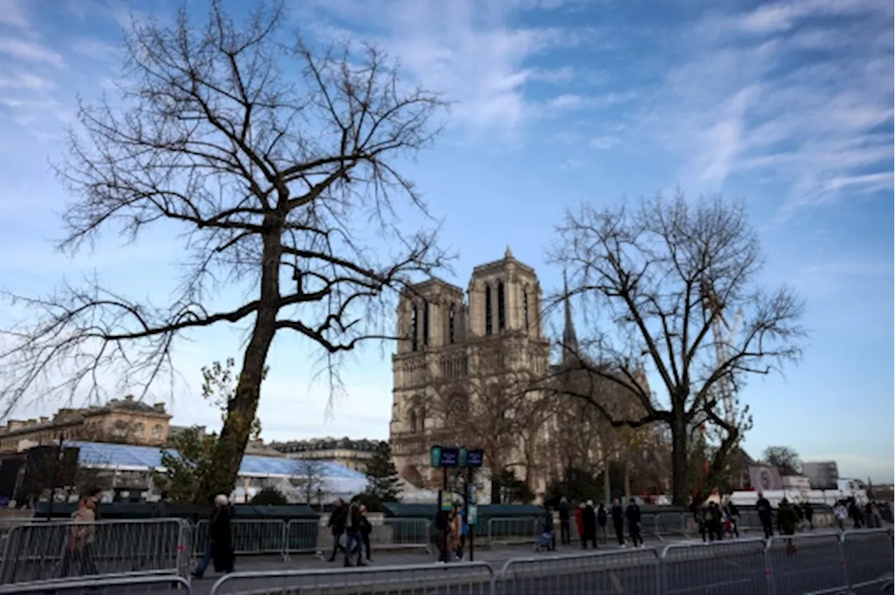 Notre Dame de Paris rouvre attirant personnalités et anonymes France