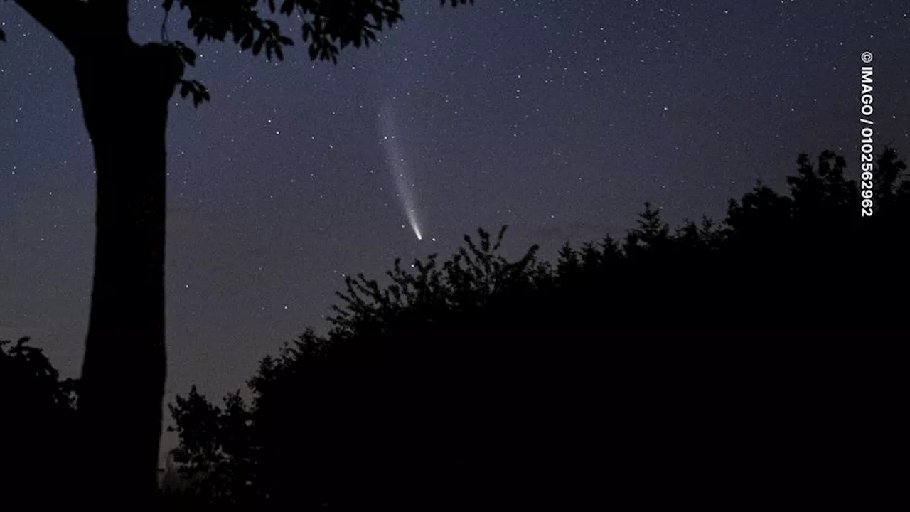 So Finden Sie Den Kometen P Pons Brooks Heute Abend Am Himmel