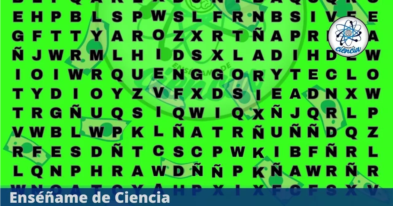 Acertijo Visual De Segundos Encuentra La Palabra Dinero En La Sopa