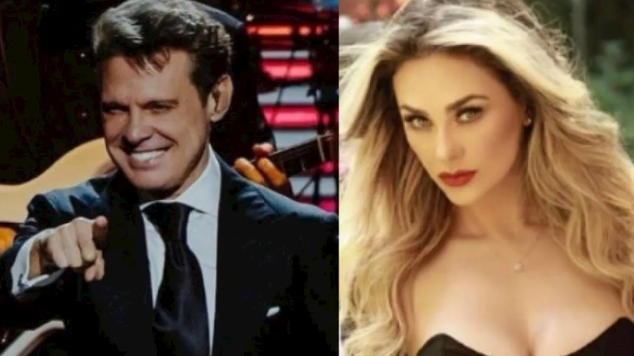 Luis Miguel y Aracely Arámbula filtran audio de su hijo Daniel