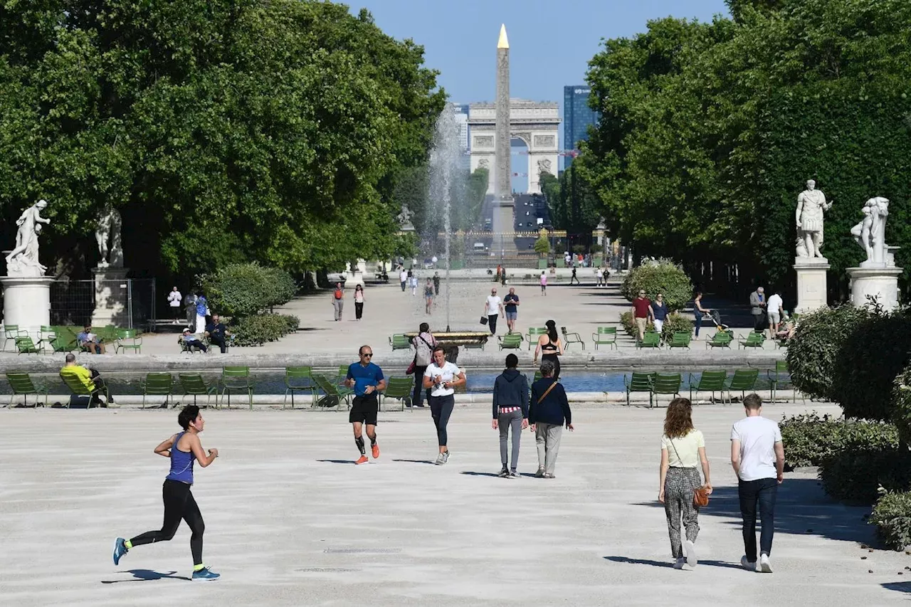 Paris Le Jardin Des Tuileries Choisi Pour La Flamme Olympique