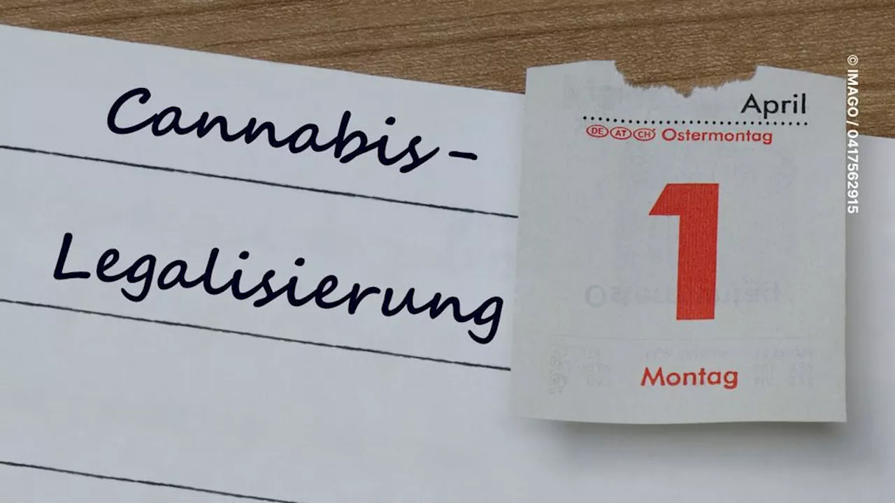 Fragen Und Antworten Zur Cannabis Legalisierung Was Verboten Und Was