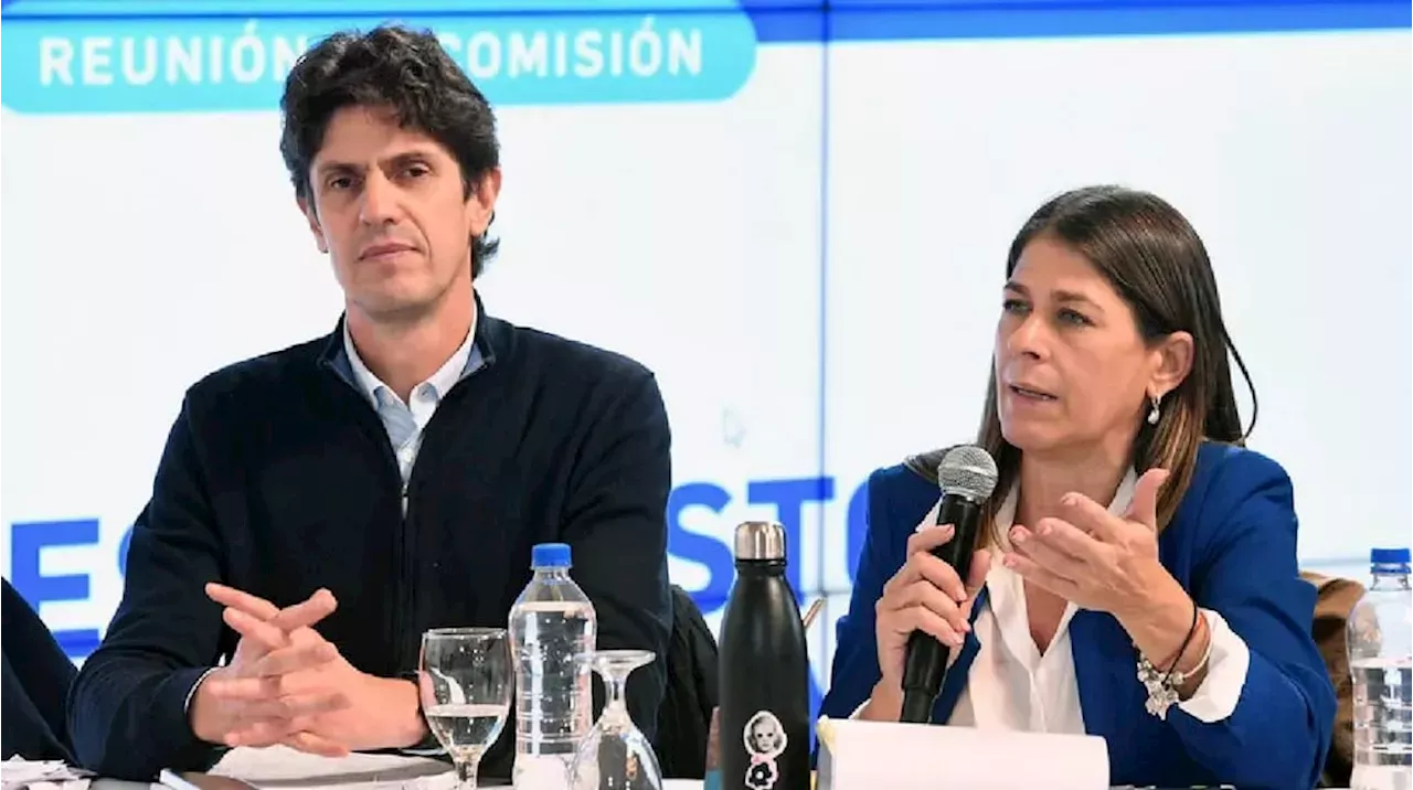 GUADALUPE TAGLIAFERRI Ley Bases y paquete fiscal crece la tensión en