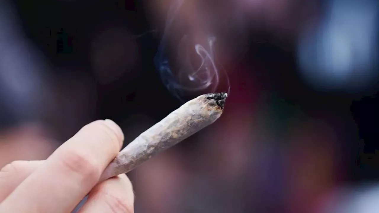 Legalisierung Cannabis Gesetz Hamburg Legt Bu Gelder F R Verst E