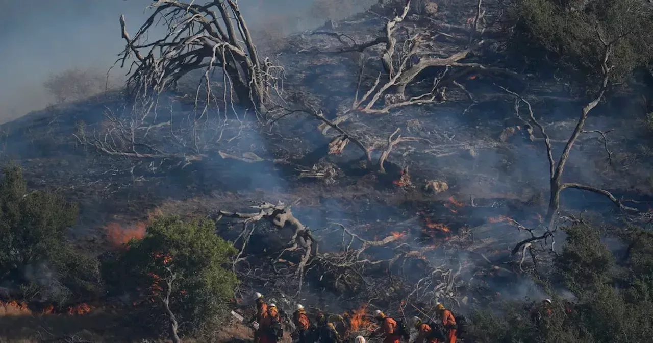 Avance de incendio al norte de Los Ángeles provoca la evacuación de 1