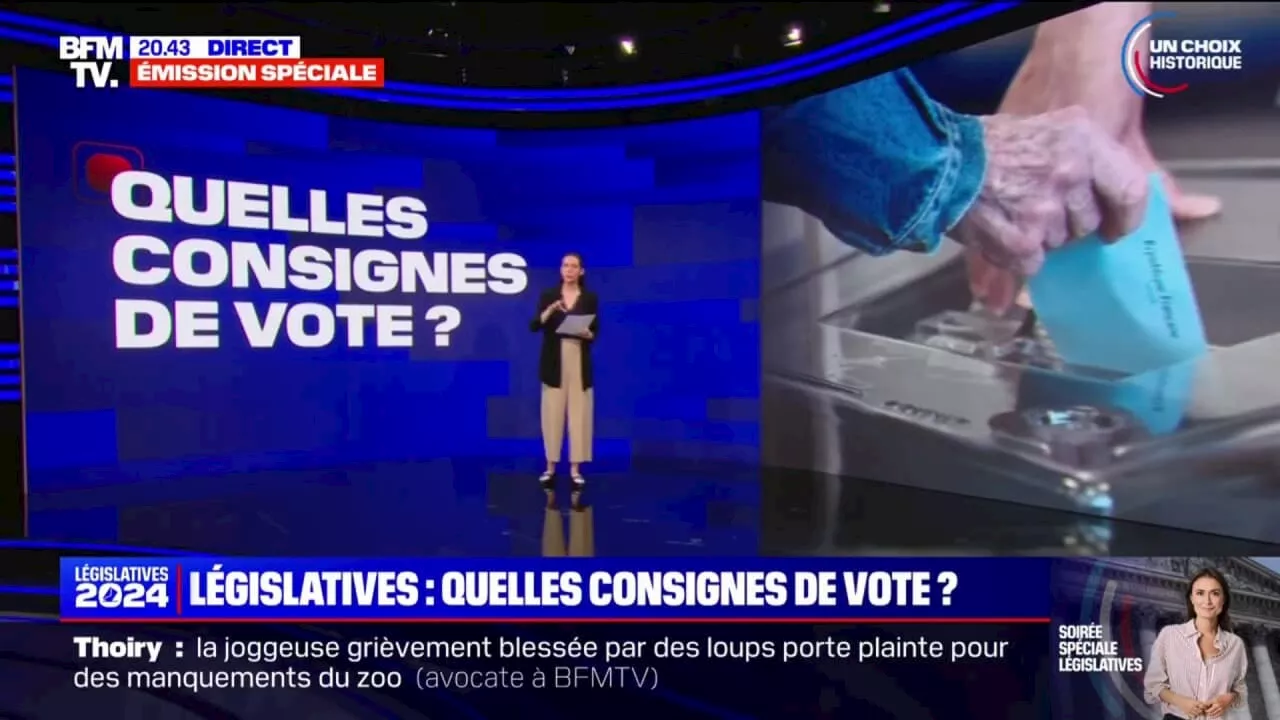 Législatives voici les différentes consignes de vote déjà données pour