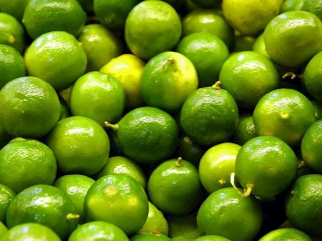 Aguacate Aguacate hass limón tahití y gulupa llevan al alza las